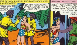 神奇女侠漫画集,英勇无畏，守护正义的传奇历程